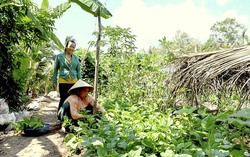 Sóc Trăng: Hội viên, phụ nữ mạnh dạn vươn lên thoát nghèo