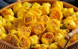 Loại cây khi xưa bị chặt phá để làm rẫy, nay thành đặc sản, hoa giá lên đến 20 triệu/kg