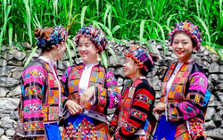 Dạy múa, hát dân gian truyền thống cho người dân tộc Lô Lô