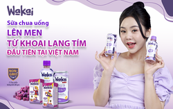 Sữa chua uống thực vật - Nguồn dinh dưỡng lành mạnh cho cả gia đình