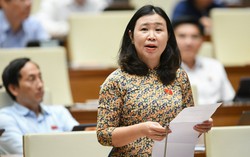 Đại biểu Quốc hội chất vấn về thông tin xấu độc trên mạng, tội phạm công nghệ cao