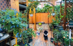 Sau 2 năm sử dụng, khu vườn 48m² khiến ai cũng phải trầm trồ trước diện mạo mới