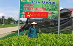 Nguồn vốn nhỏ giúp phụ nữ đẩy mạnh sản xuất hàng hoá