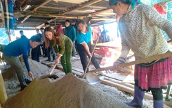 Hỗ trợ 10 tấn xi măng cho 12 hội viên phụ nữ có hoàn cảnh khó khăn