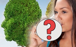 Cụ bà 85 tuổi có bộ não trẻ lại 13 tuổi nhờ đều đặn uống thứ này mỗi ngày