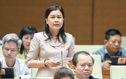 Cần làm rõ về quyền tài sản của người trúng đấu giá biển số xe