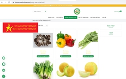 Phụ nữ mạnh dạn thay đổi, áp dụng thành công sản xuất nông sản công nghệ cao