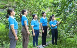 Hội LHPN huyện Thọ Xuân: Hỗ trợ hơn 9 nghìn hội viên phát triển sản xuất