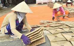 Trà Vinh: Phụ nữ dân tộc vươn lên thoát nghèo nhờ mô hình tiết kiệm tín dụng
