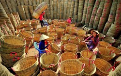 Kiên Giang: Đời sống phụ nữ dân tộc được nâng cao nhờ mô hình sinh kế hiệu quả