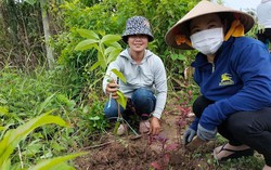 Phát huy vai trò của phụ nữ vì “nhà sạch, bếp sạch, ngõ sạch”