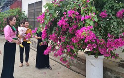 Nâng cấp những tuyến đường hoa, thay đổi bộ mặt thôn bản
