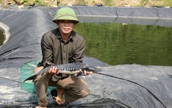 Người "tiên phong" nuôi cá tầm tại vùng núi Tiên Yên