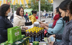 Chi tiêu dịp Tết Quý Mão sẽ tăng khoảng 4%-7% so với năm trước