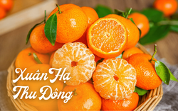 Vì sao mùa đông nên uống nước ép quýt?