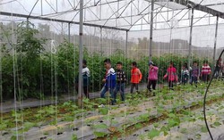 Hướng đi bền vững cho phụ nữ sản xuất nông nghiệp kết hợp du lịch trải nghiệm vùng miền núi