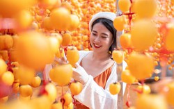 Hành trình gây dựng sản phẩm hồng treo gió của Chủ tịch Hội LHPN xã Trạm Hành