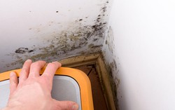 Nấm mốc trong nhà có thể gây ra những vấn đề sức khỏe nghiêm trọng như thế nào?