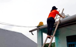 Tăng cường tính minh bạch trong quản lý dữ liệu giảm phát thải theo Thỏa thuận Paris