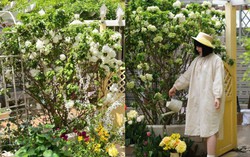 Mãn nhãn trước khu vườn 4 mùa hoa nở, cây cối tươi tốt quanh năm của cô gái 9x