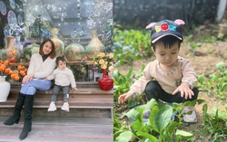 Bí quyết cai sữa cho bé hiệu quả, con không quấy khóc 