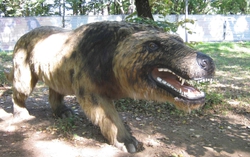 Andrewsarchus: Một trong những loài thú ăn thịt đáng sợ nhất từng tồn tại 