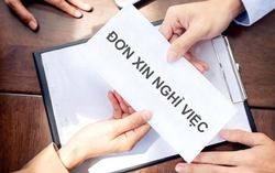 Đã nộp đơn xin nghỉ việc, liệu rút lại có được không?