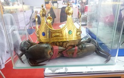 “Miss cua 2022” đã đăng quang cuộc thi Sumo Crab tại Cà Mau như thế nào?