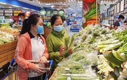 GDP năm 2022 tăng cao nhất trong 12 năm qua