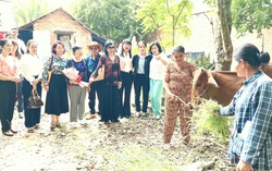 Câu lạc bộ Nữ từ thiện tỉnh Tây Ninh: "Chắp cánh" cho phụ nữ bất hạnh vươn lên thoát nghèo