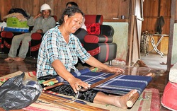 Đưng K’Nớ: Đa dạng hoạt động giúp phụ nữ dân tộc thiểu số phát triển kinh tế