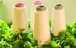 Doanh nghiệp Việt “đua” nhau sản xuất quần áo từ cà phê, vỏ chai
