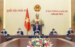 Thường vụ Quốc hội xem xét 8 nội dung lớn tại phiên họp thường kỳ thứ 8
