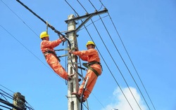 Hoạt động điện lực không có Giấy phép bị phạt tới 200 triệu đồng
