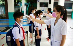 4 bước xử trí khi học sinh là F0, F1 khi đến trường