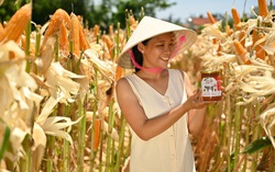 Tạo món ăn đậm chất Ý trên phố Hội