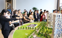 Một số chính sách mới của Chính phủ có hiệu lực từ tháng 3/2022
