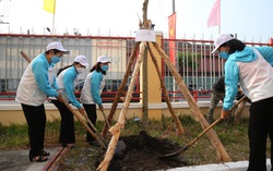 TPHCM: Mỗi cơ sở Hội một công trình cây xanh