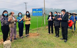 Hòa Bình khởi công “Đường cây phụ nữ" 