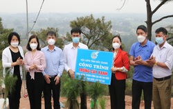 Hội LHPN tỉnh Bắc Giang trồng 4.000 cây thông