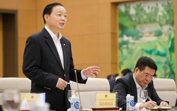 Cần giải pháp ngăn chặn tình trạng thổi giá, móc ngoặc, trục lợi trong đấu giá đất