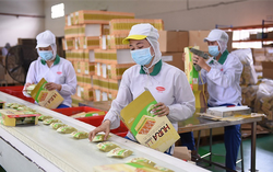 TPHCM lý giải về việc chưa cho F0 đi làm