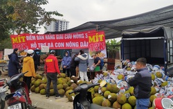 Cần giải quyết hiệu quả tình trạng ách tắc, ùn ứ hàng hóa nông sản tại các cửa khẩu