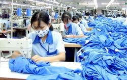 Cần lồng ghép giới trong các chính sách thuận lợi hóa thương mại