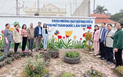 Phụ nữ Hải Dương với 71 công trình/phần việc thiết thực chào mừng Đại hội phụ nữ toàn quốc