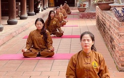 Thi thiết kế Logo "Chương trình Bảo dưỡng thân tâm thời Covid"