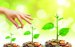 Băn khoăn tìm cách đầu tư 900 triệu tiết kiệm sau 7 năm kết hôn