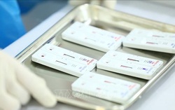 Cả nước có hơn 10,2 triệu ca nhiễm Covid-19, gần 8,8 triệu bệnh nhân đã khỏi 