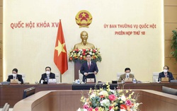 Dự án Luật phòng, chống bạo lực gia đình (sửa đổi) sẽ được cho ý kiến để trình Quốc hội tại Kỳ họp thứ 3
