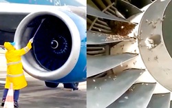 Chuyến bay từ Phú Quốc ra Hà Nội bị "delay" 1 tiếng vì đàn ong trong động cơ